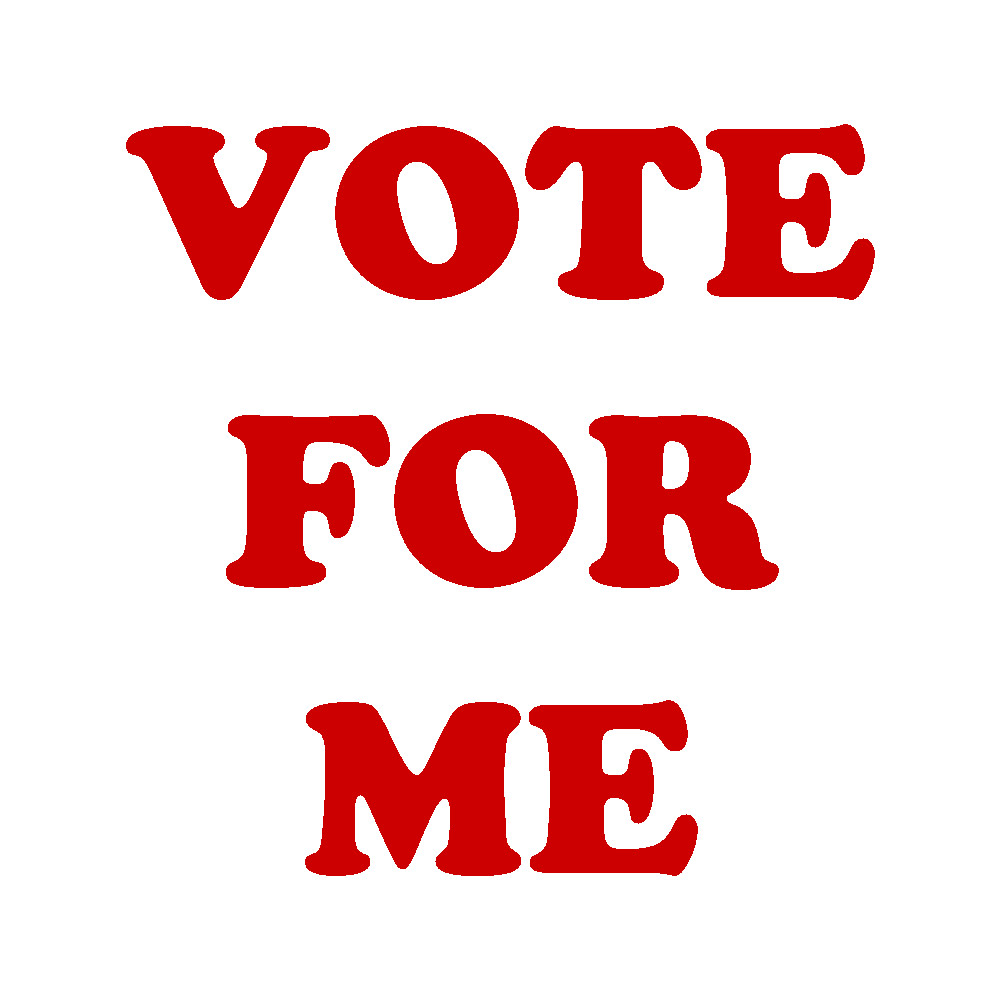vote-for-me.jpg